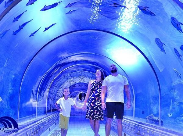 Hurghada Grand Aquarium Tour