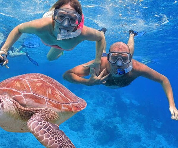 Explore Abu Dabbab: Snorkel with Turtles and Meet the Dugong