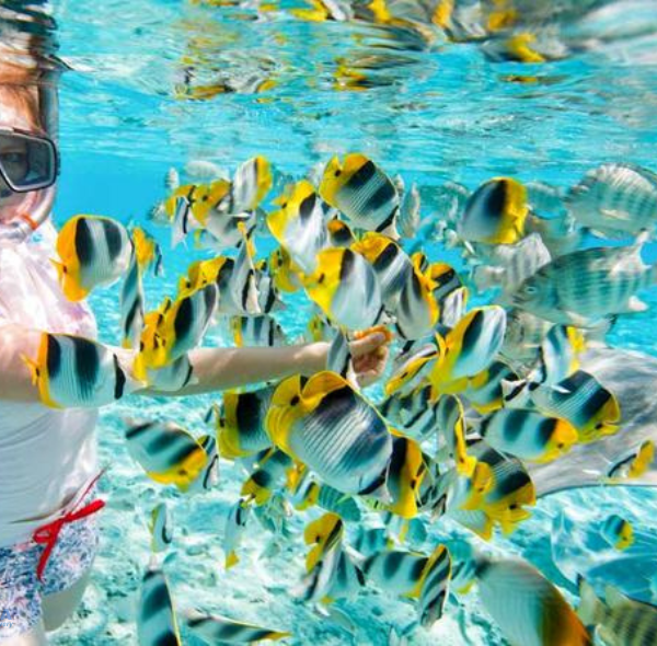 Sharm El Naga Snorkeling