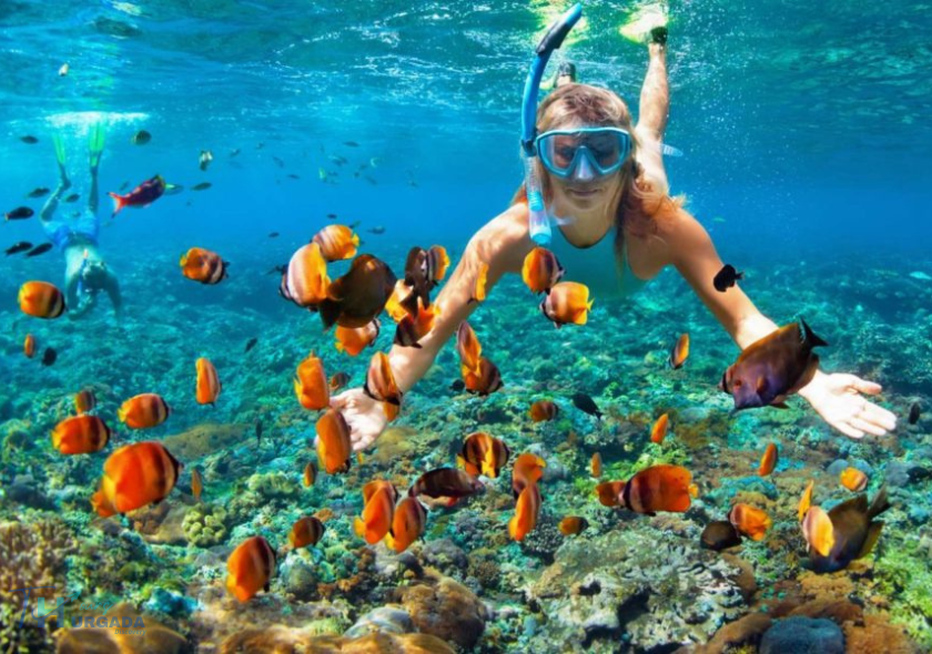 Sharm El Naga Snorkeling Trip in Hurghada